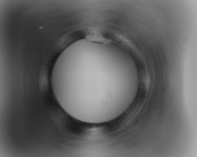 X0000089720312200707201826