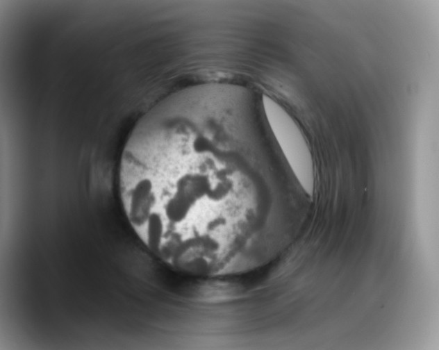 X0000089720315200707201826