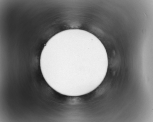 X0000089720321200707201826