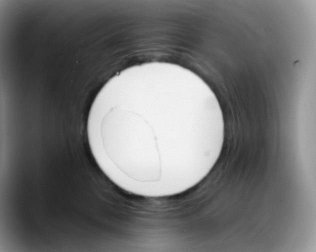 X0000089720328200707201826