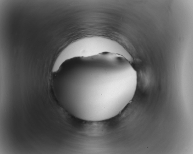 X0000089720329200707201826