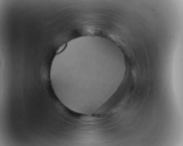 X0000089720331200707201826