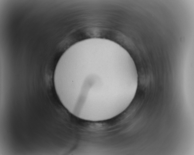 X0000089720332200707201826