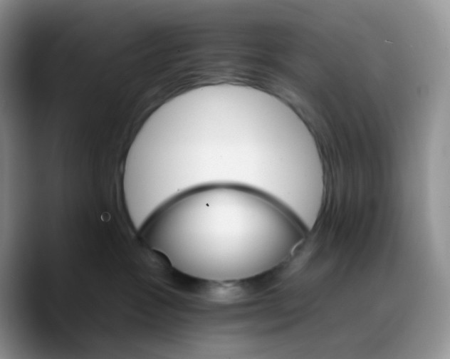 X0000089720333200707201826