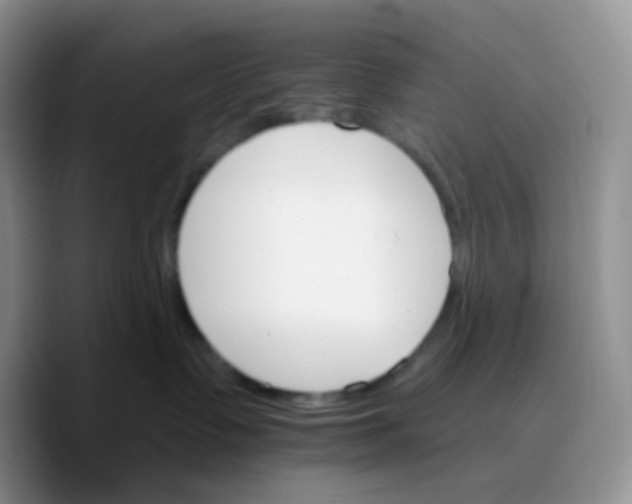 X0000089720335200707201826