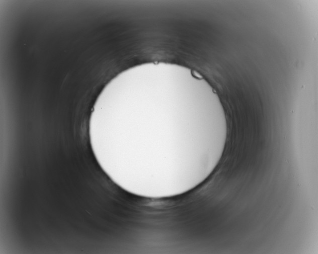 X0000089720336200707201826