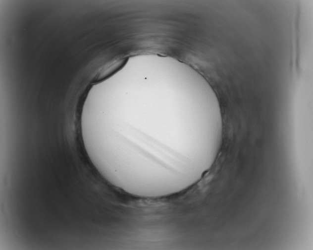 X0000089720338200707201825
