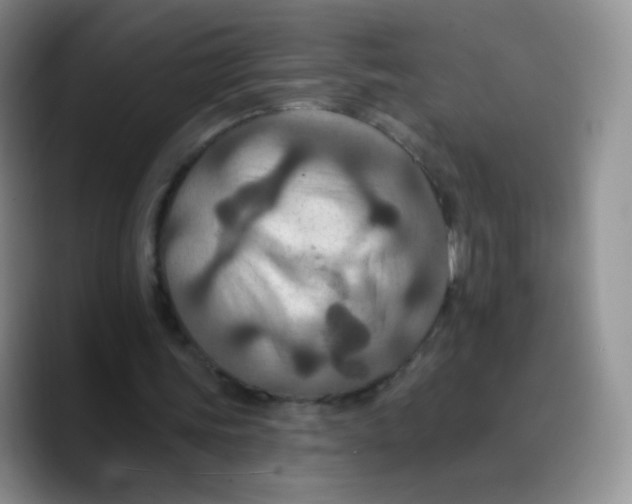 X0000089720339200707201825