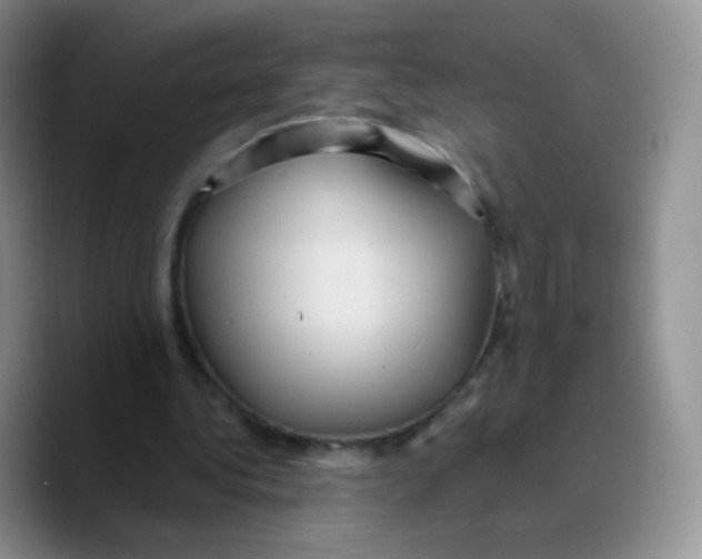 X0000089720340200707201825