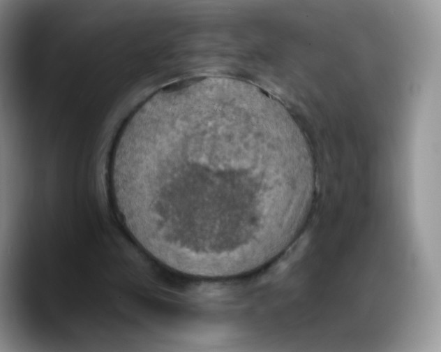 X0000089720341200707201825