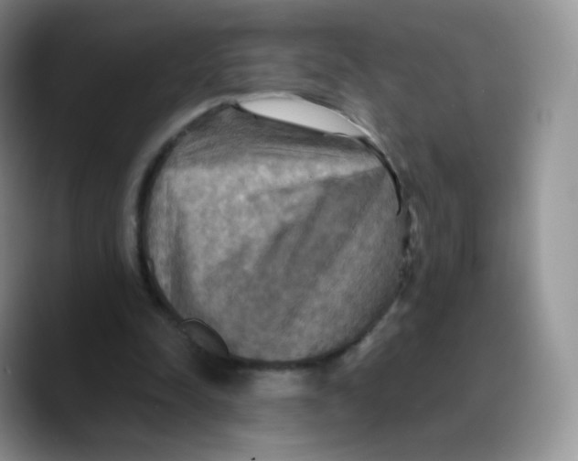 X0000089720342200707201825
