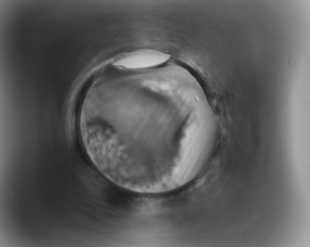 X0000089720343200707201825