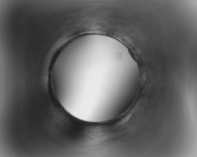 X0000089720344200707201825