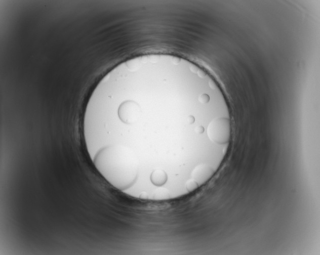 X0000089720345200707201825
