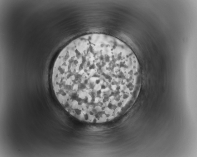 X0000089720346200707201825