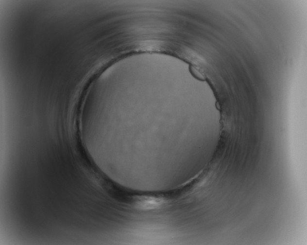 X0000089720347200707201825