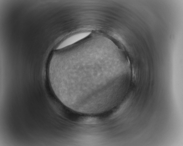 X0000089720348200707201825