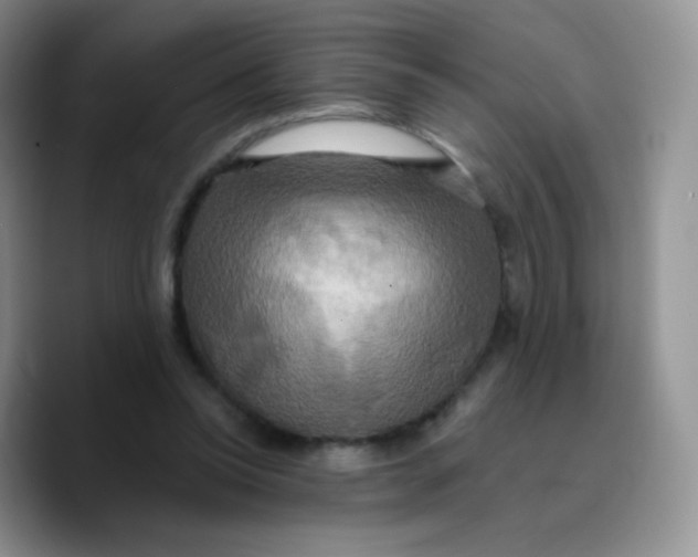X0000089720350200707201825