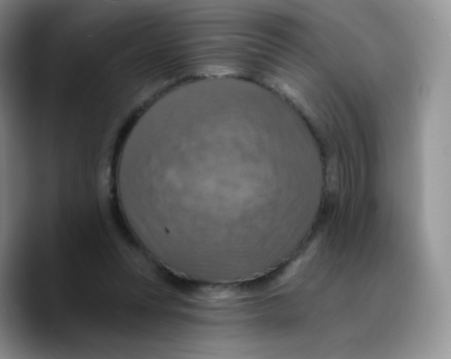 X0000089720351200707201825