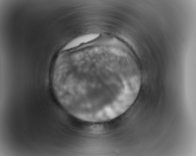 X0000089720353200707201825