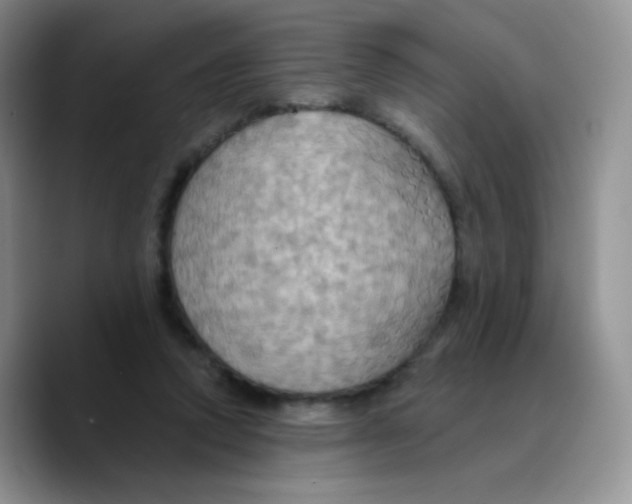 X0000089720354200707201825