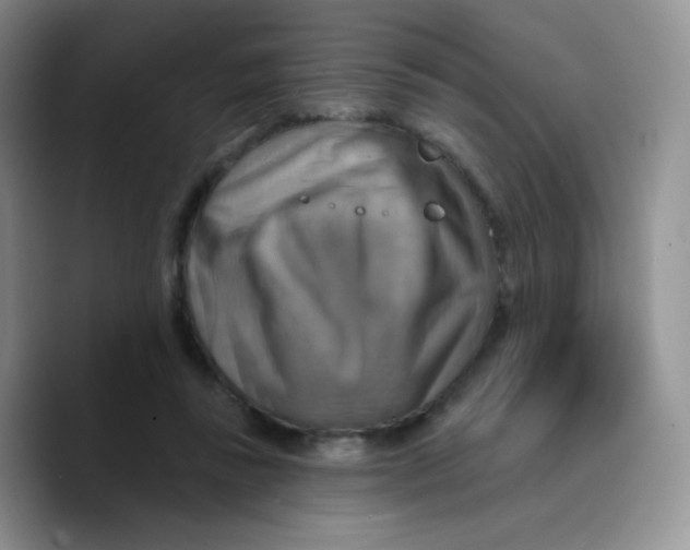 X0000089720355200707201825