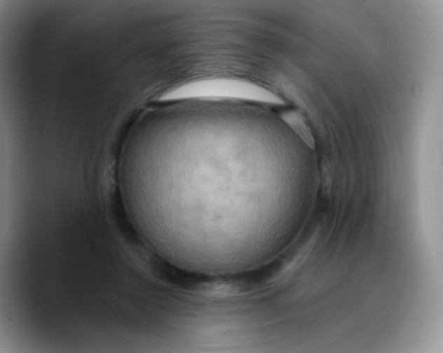 X0000089720356200707201825