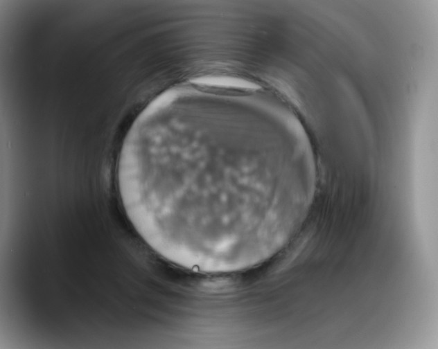 X0000089720357200707201825