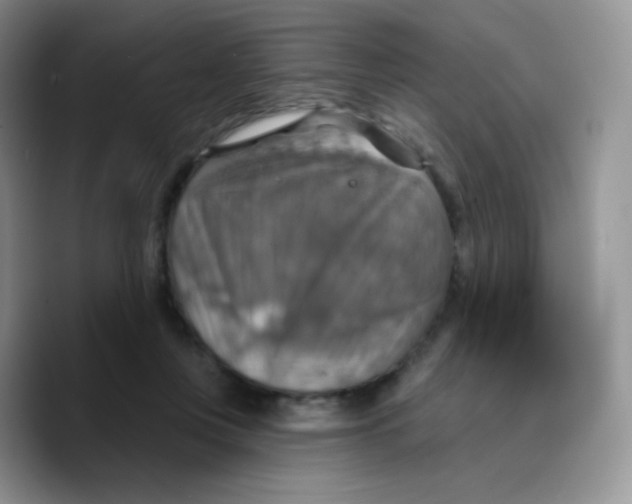 X0000089720359200707201825