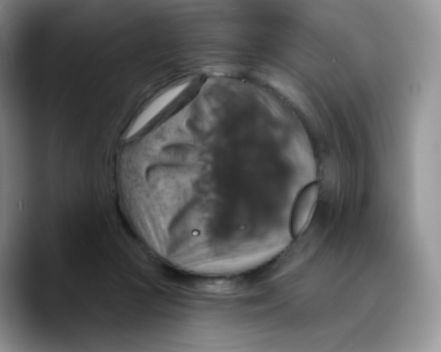 X0000089720361200707201825