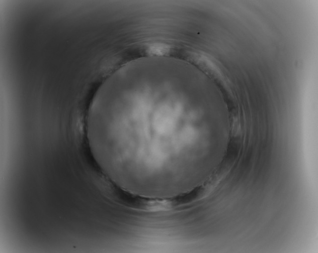 X0000089720363200707201825