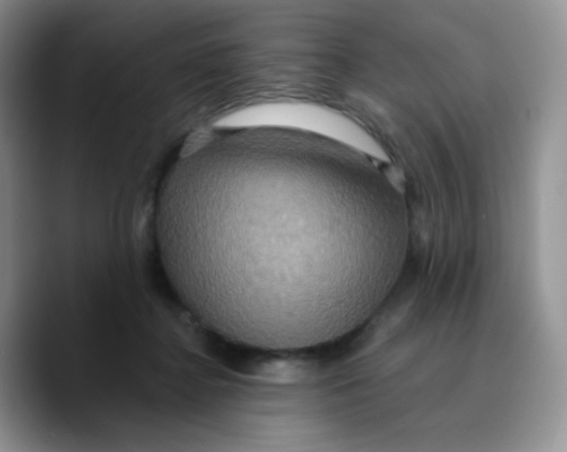 X0000089720364200707201825