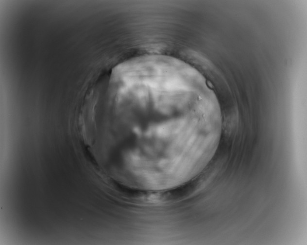 X0000089720365200707201825