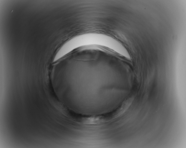 X0000089720366200707201825
