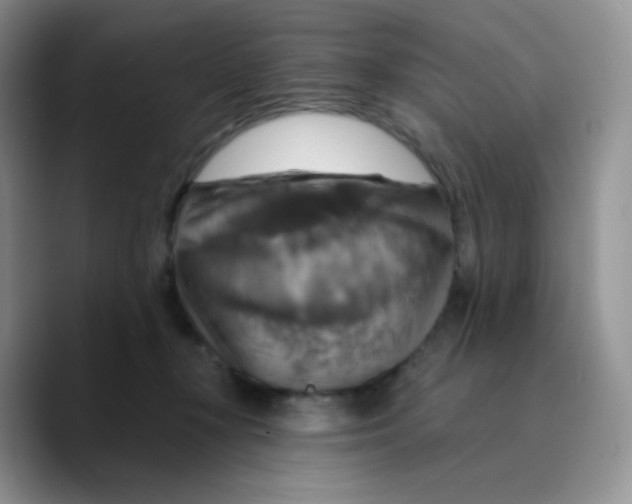 X0000089720367200707201825