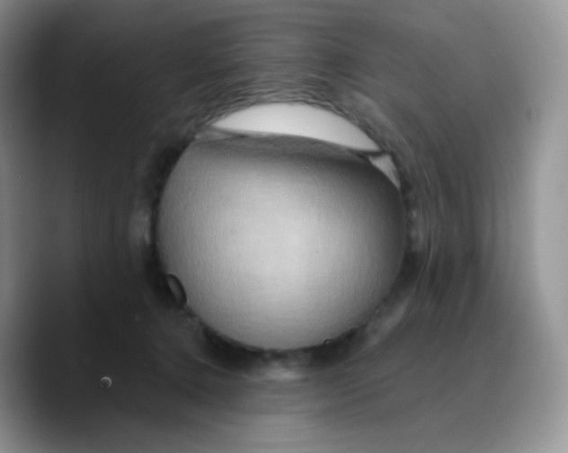 X0000089720368200707201825