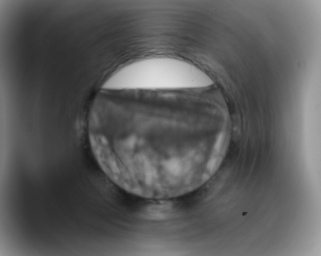 X0000089720369200707201825