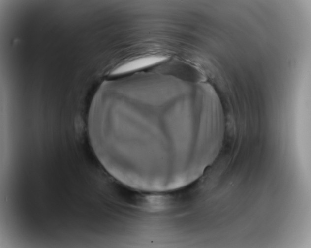 X0000089720371200707201825