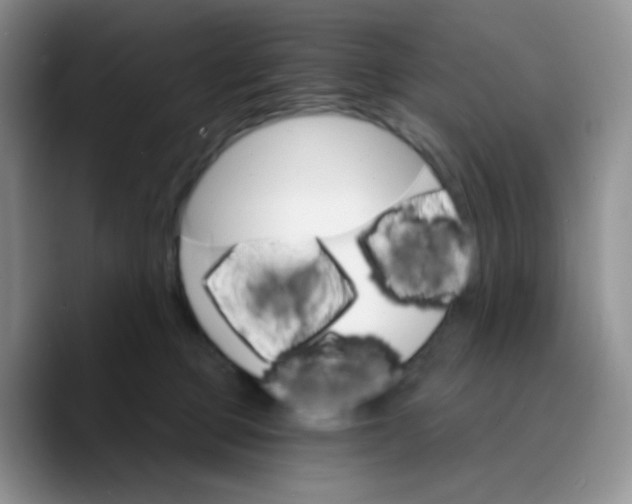 X0000089720373200707201825