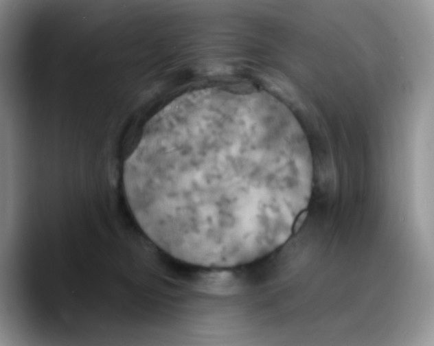 X0000089720374200707201825