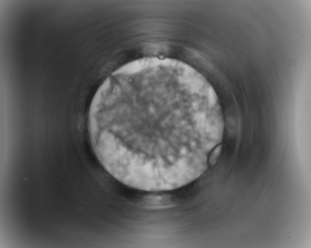 X0000089720375200707201825