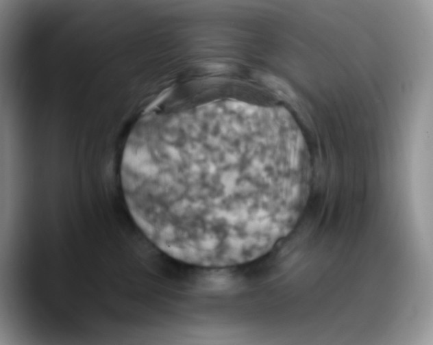 X0000089720377200707201825