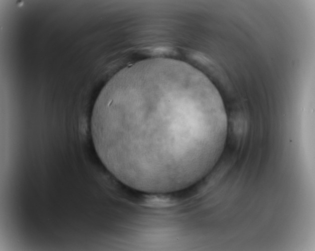 X0000089720380200707201826