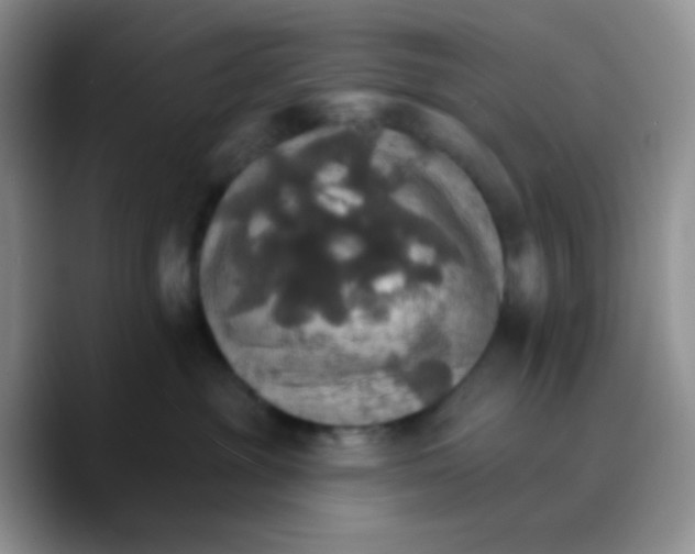 X0000089720381200707201826