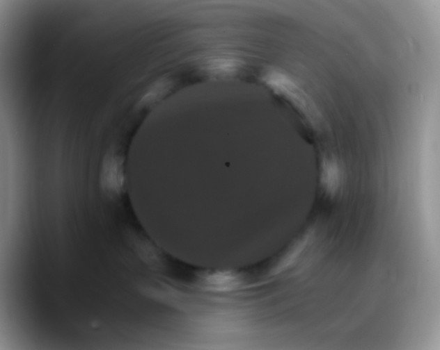 X0000089720383200707201826