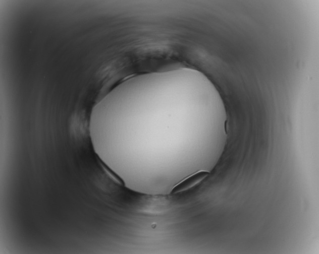X0000089720384200707201826