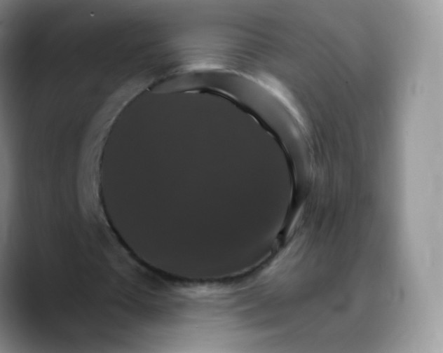 X0000089720385200707201825