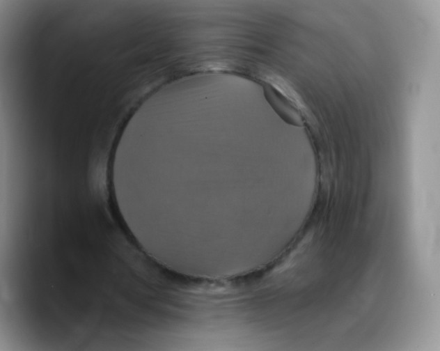 X0000089720386200707201825