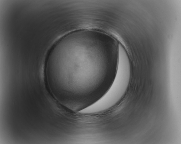 X0000089720387200707201825