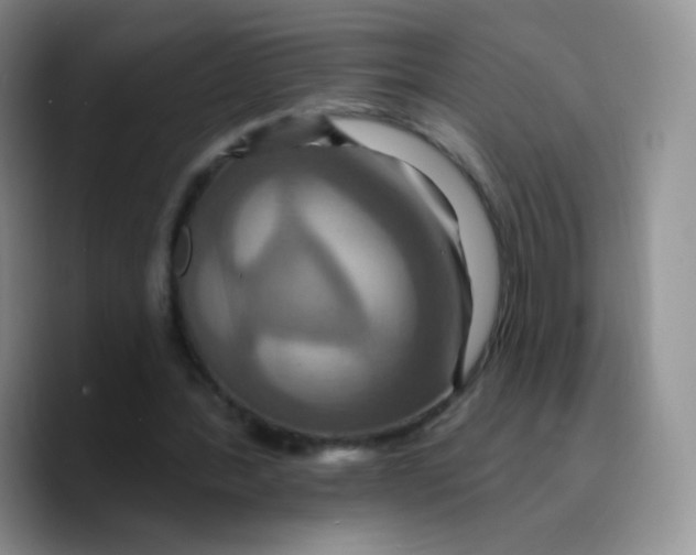X0000089720388200707201825